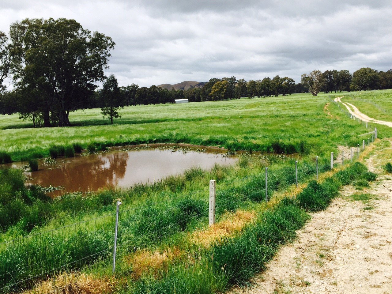 River flats paddock at Pulfords